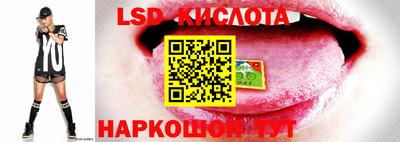 амфетамин Новокубанск