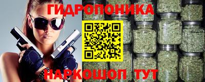 мдма Новодвинск