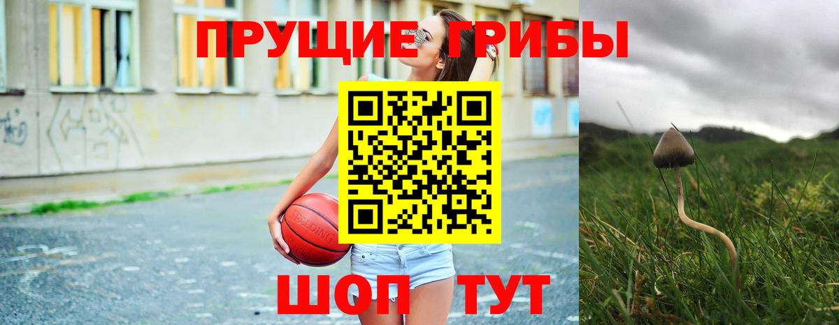 Галлюциногенные грибы GOLDEN TEACHER Чапаевск